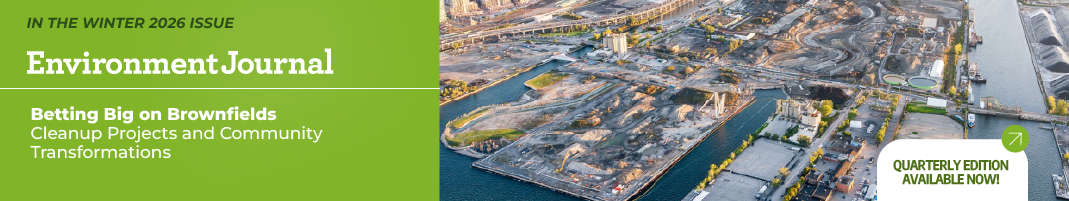 The four quarters of a sustainable CFL – The Environment Journal