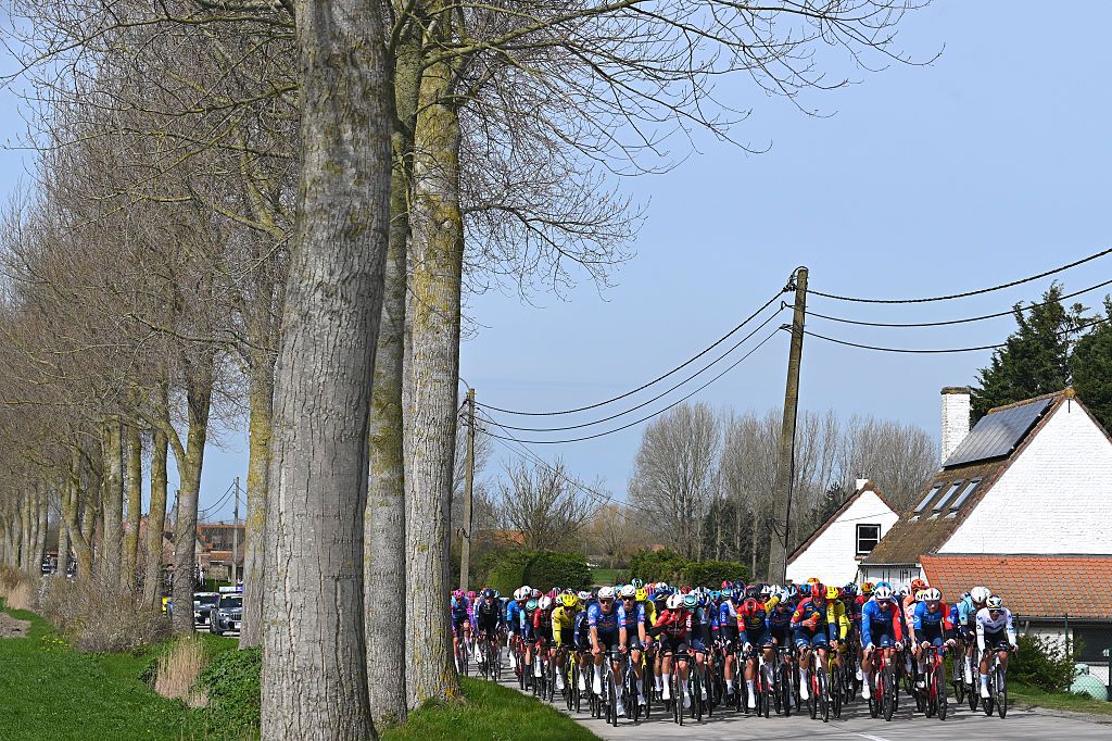 WEVELGEM, BELGIUM - MARCH 29: A general view of the peloton competing during the 88th In Flanders Fields - From Middelkerke to Wevelgem 2026 - Men&amp;apos;s Elite a 240.8km one day race from Middelkerke to Wevelgem / #UCIWT / on March 29, 2026 in Wevelgem, Belgium. (Photo by Tim de Waele/Getty Images)