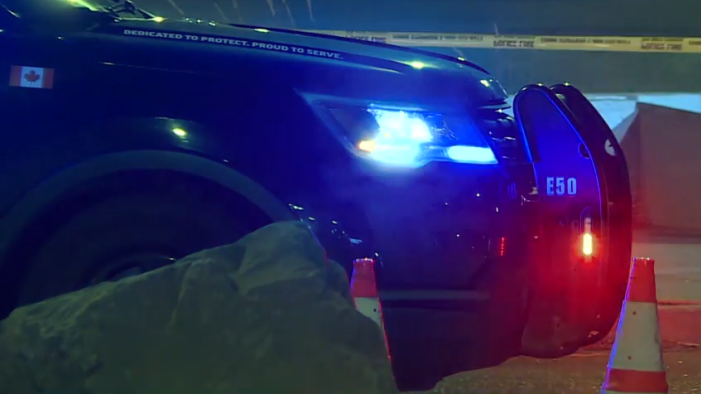 Man found dead in greenspace in Edmonton's Calder neighbourhood