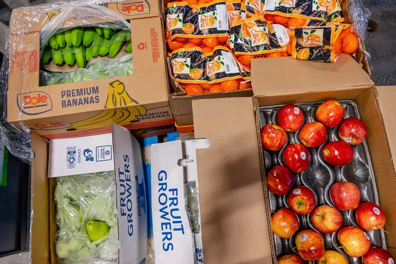 spring food bank drive in mississauga.