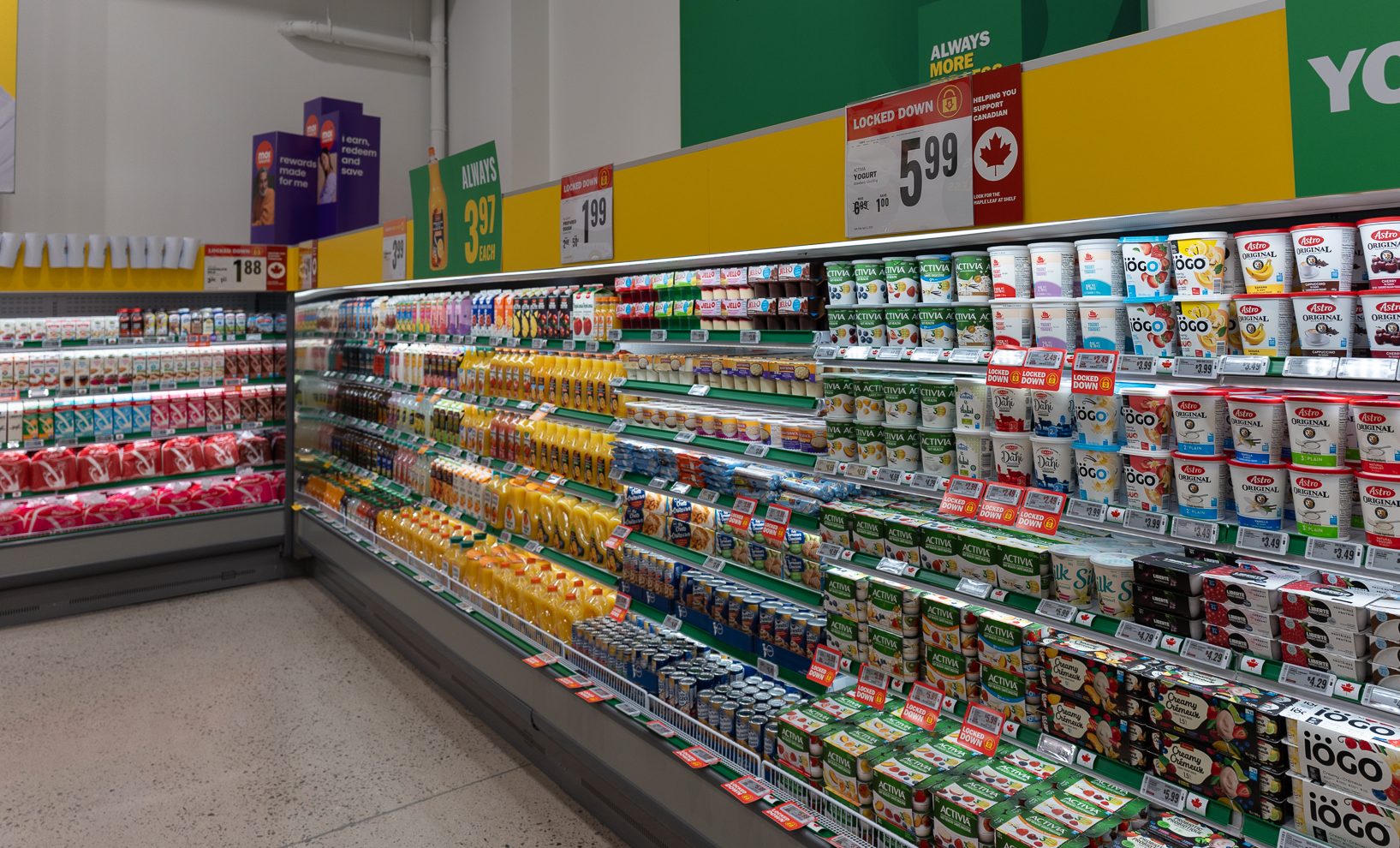 New grocery store over 32,000 square feet opening soon in Brampton