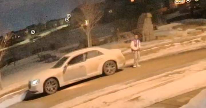 Girl finds loaded handgun near pond in west Edmonton neighbourhood - Edmonton