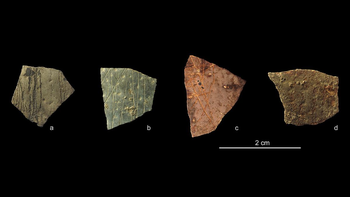 Ancient Fragments Could Be The World's Oldest Known Geometry : ScienceAlert