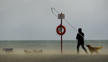 Wind gusts of up to 90 km/h possible Monday