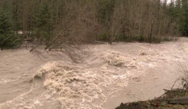 Dozens of homes along Chilliwack River on evacuation alert due to heavy rain