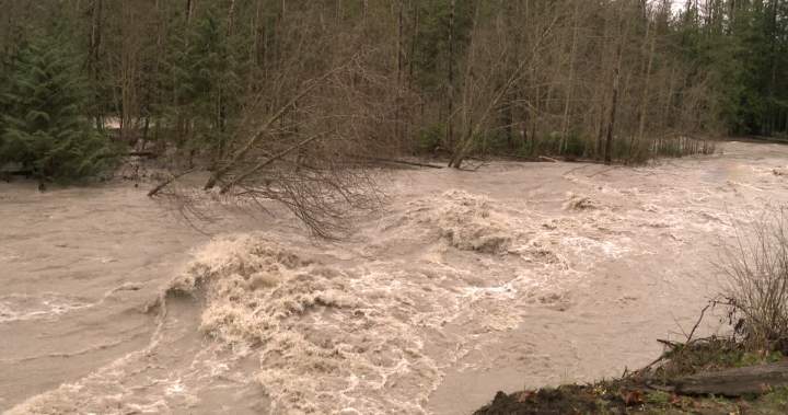 Dozens of homes along Chilliwack River on evacuation alert due to heavy rain