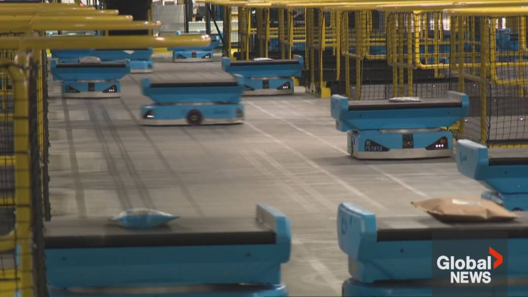 Click to play video: '‘White collar bloodbath’: Will AI destroy the entry-level office job?'