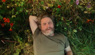 New Netflix gardening show hosted by Zach Galifianakis was filmed in B.C. - CTV News