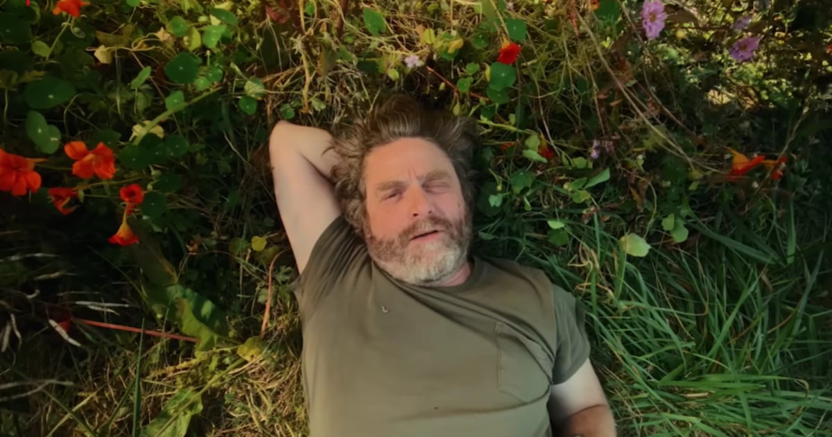 New Netflix gardening show hosted by Zach Galifianakis was filmed in B.C. - CTV News