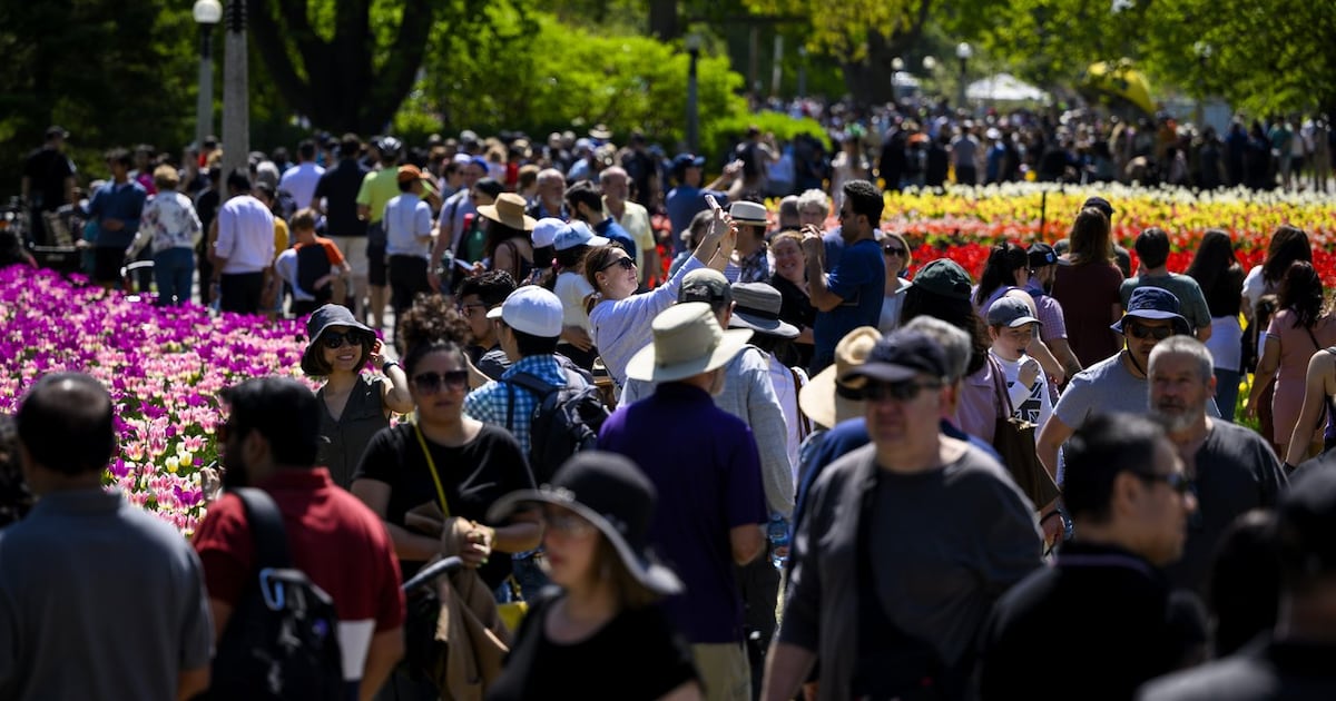 As Canada's population growth slows, an economic shift emerges - CTV News