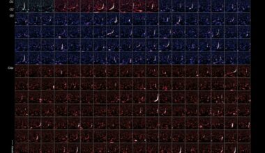 218 plots shown on a grid represent all of the mergers
	  of black holes and neutron stars detected in gravitational waves
	  and reported to date.
	  Please see the explanation for more detailed information.
