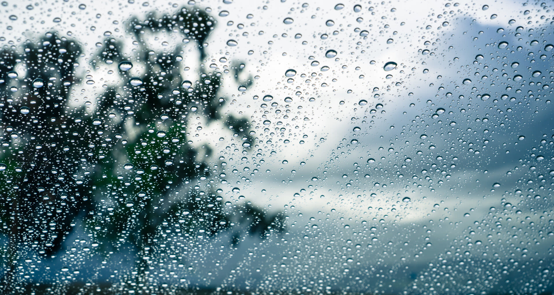 Tomorrow's Weather Vancouver (Mar 23): Mild Afternoon, Light Rain Chance