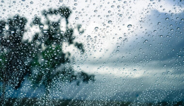 Tomorrow's Weather Vancouver (Mar 23): Mild Afternoon, Light Rain Chance