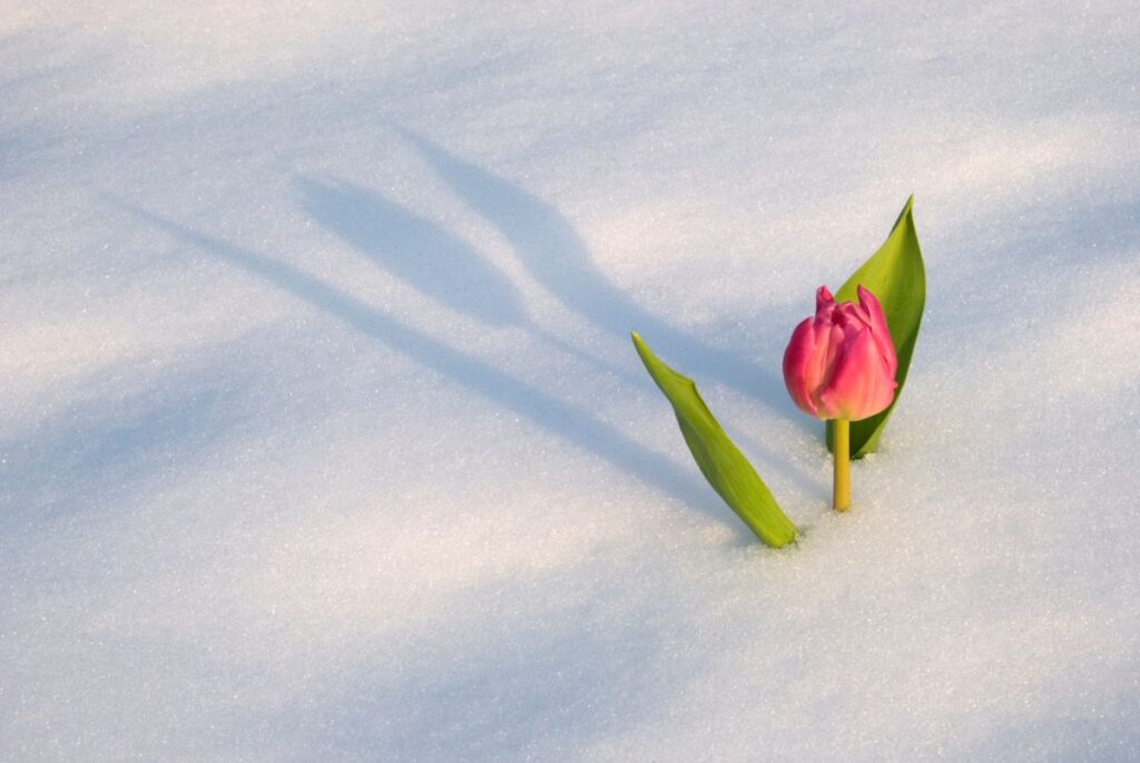 Weather forecast for April 2026 in Montreal