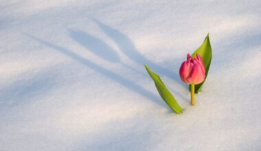 Weather forecast for April 2026 in Montreal