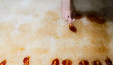 Les Sucres - to do in Montreal