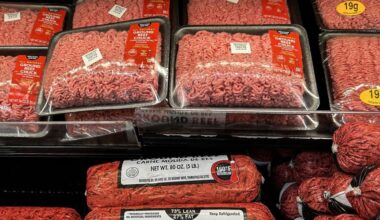 Gen Z men are eating ‘boy kibble’, the human equivalent to dog food, to load up on protein cheaply