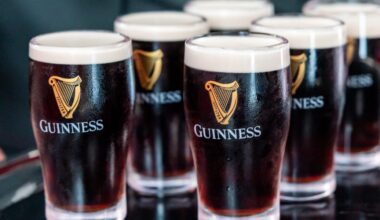 A man used AI to call 3,000 Irish bartenders to track Guinness prices