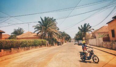 Guinea-Bissau trial 'on full hold’ at Southern Denmark University