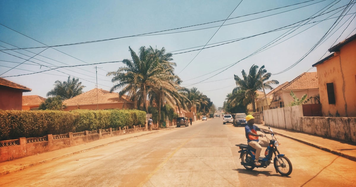 Guinea-Bissau trial 'on full hold’ at Southern Denmark University