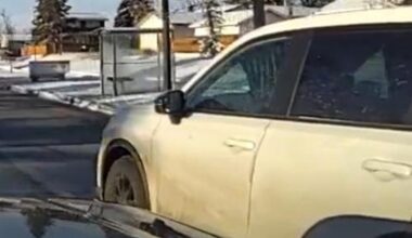 Driver ticketed after Calgary police spot window curtains in car