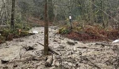 8 people, 2 dogs, 1 cat rescued after homes cut off by landslide near Coquitlam River - BC