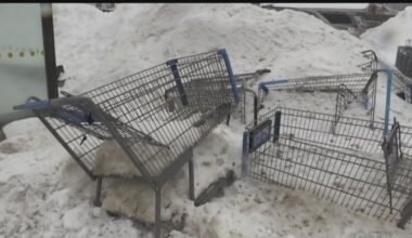 Brampton charging $100 to stores for abandoned shopping carts