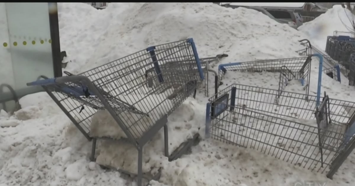 Brampton charging $100 to stores for abandoned shopping carts
