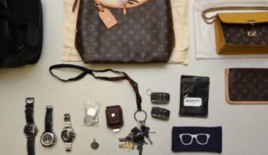 Tip leads to stolen items and charges for Brampton man: police