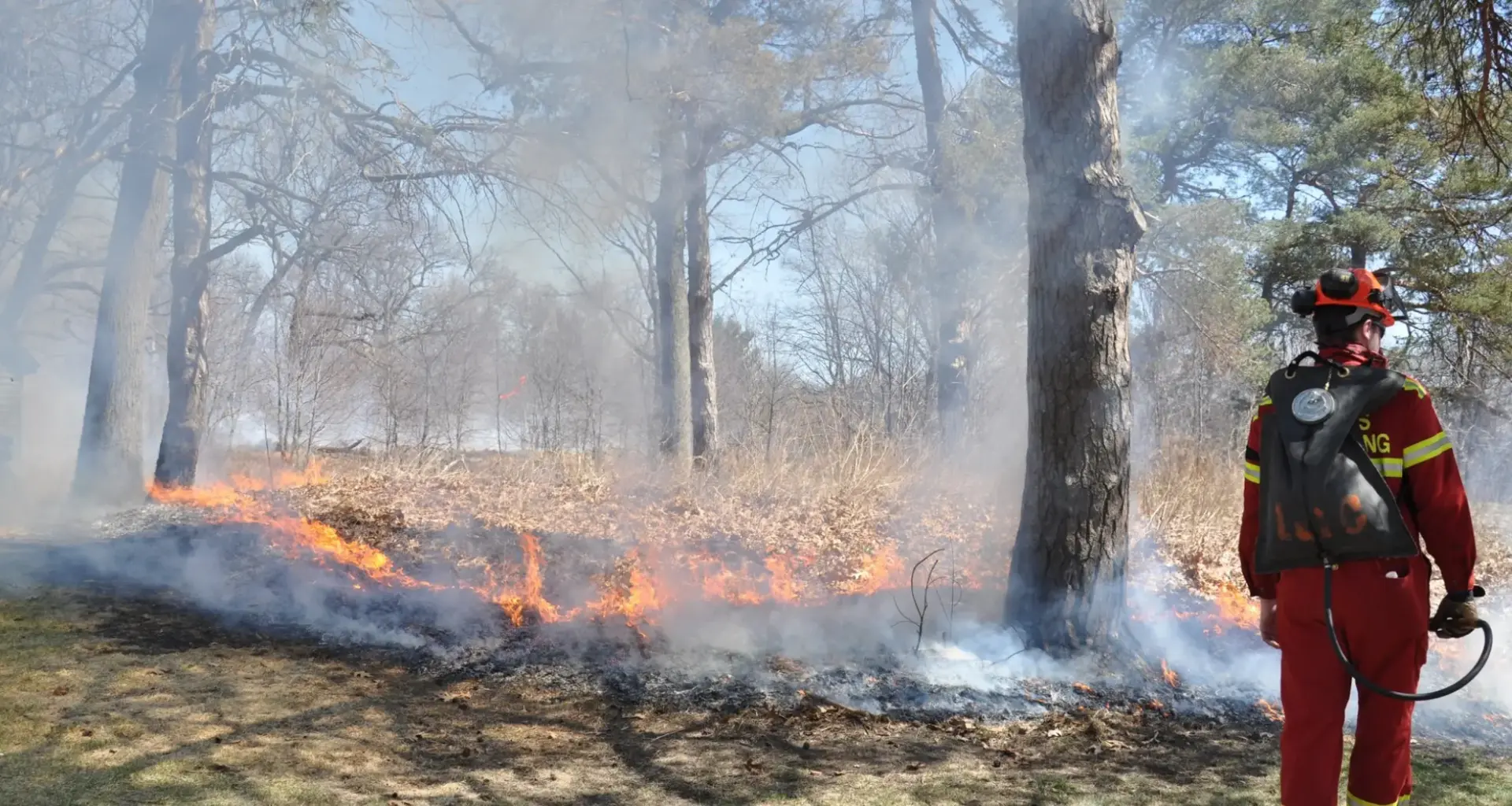Toronto to conduct controlled fires in High Park and Lambton Park