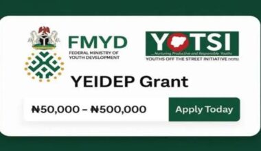 7 Things to Know About YEIDEP Batch B