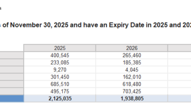 Border agency ramping up "illegal" removals; public swamping tip line