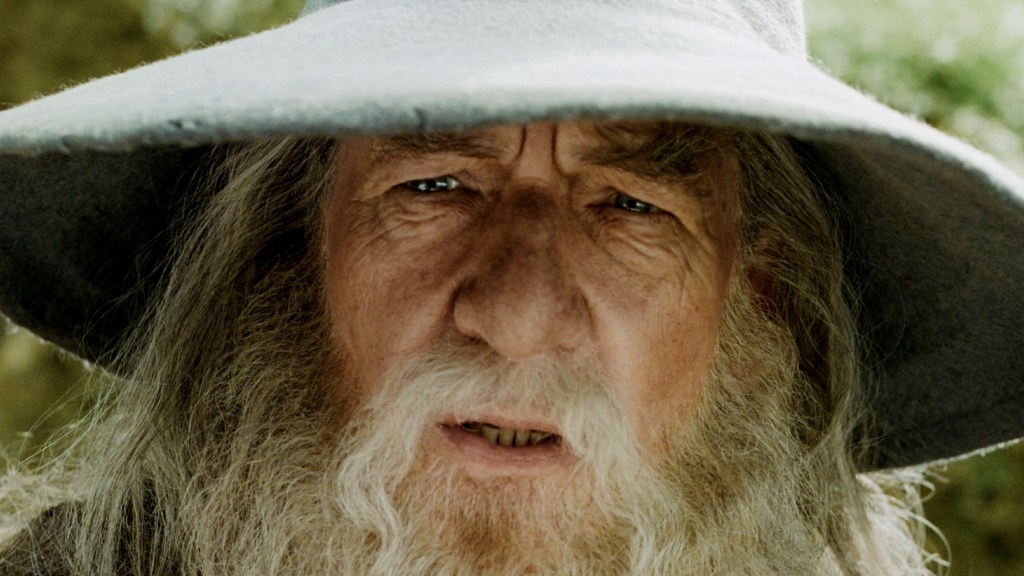 Ian McKellen as Gandalf in The Lord of the Rings The Fellowship of the Ring