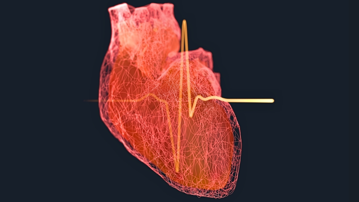 Ozempic-Like Drugs May Help Prevent Damage After a Heart Attack : ScienceAlert