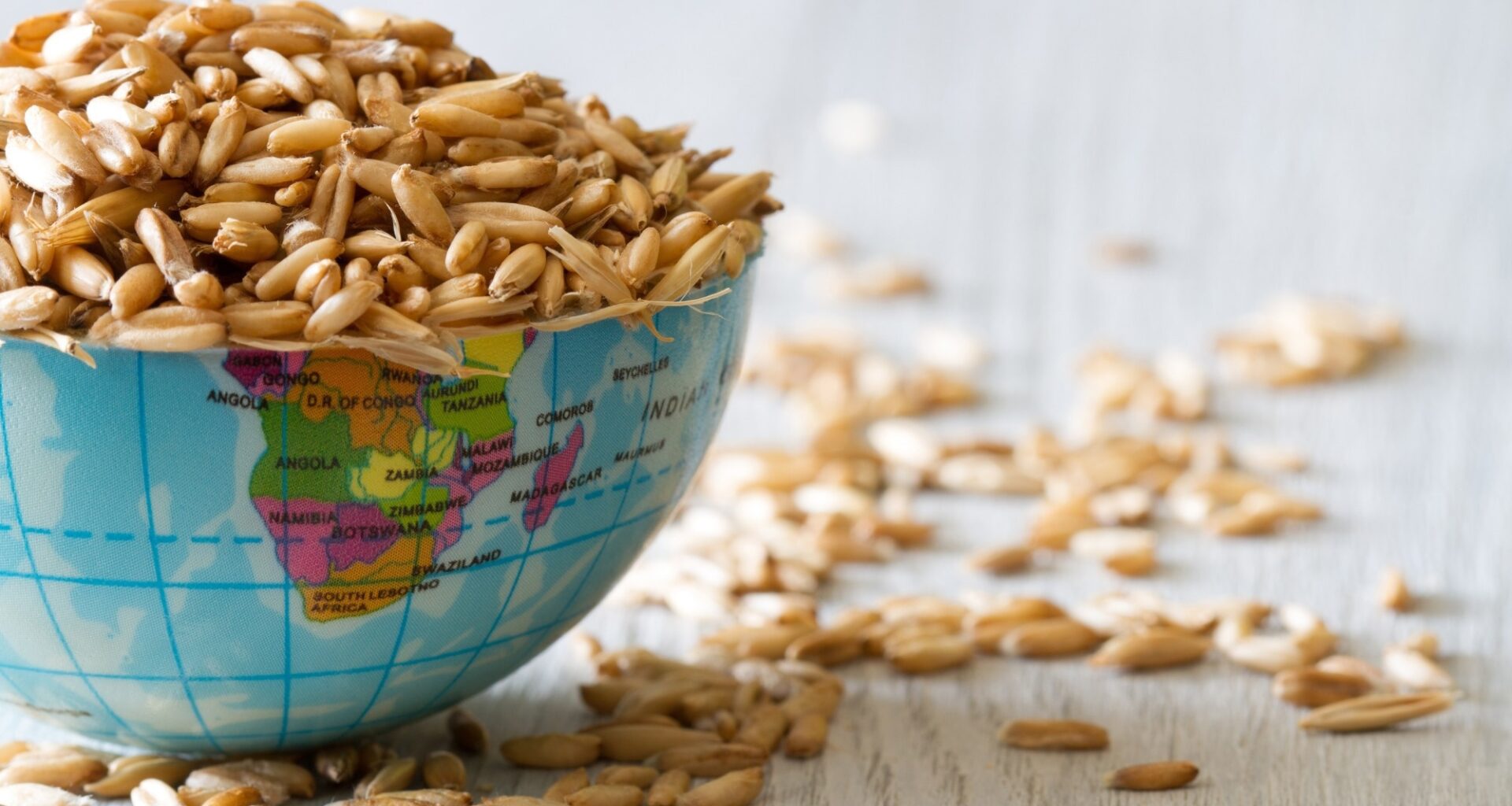 Globe filled with grain