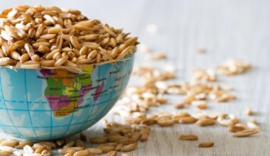 Globe filled with grain