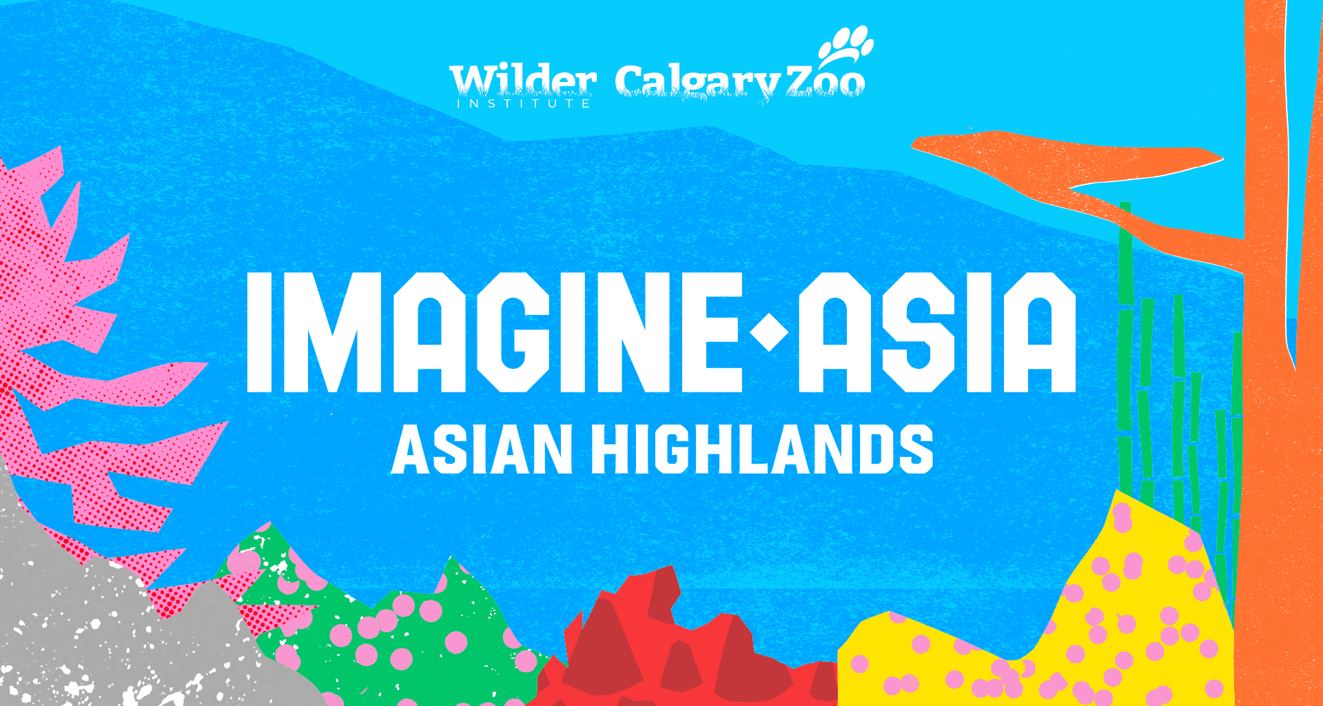 Unveiling "Imagine Asia" — First Phase Opening This Summer