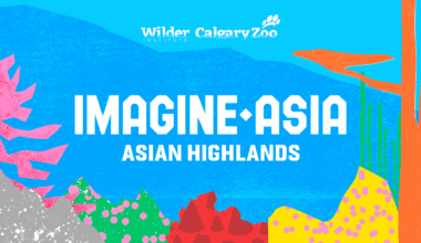 Unveiling "Imagine Asia" — First Phase Opening This Summer