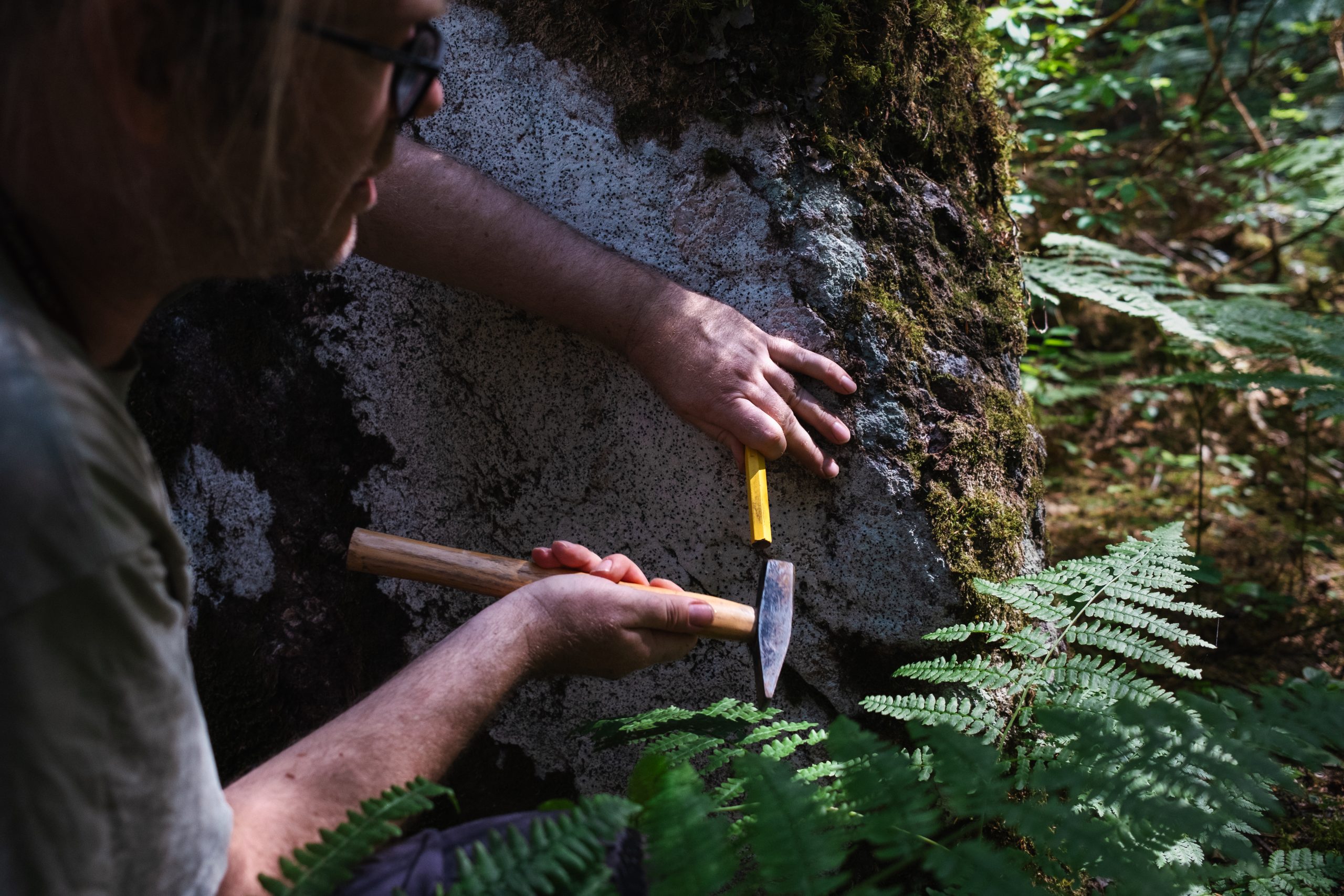 Lichenologist Toby Spribille chips off a piece of rock with lichen in the old-growth Rainbow Valley