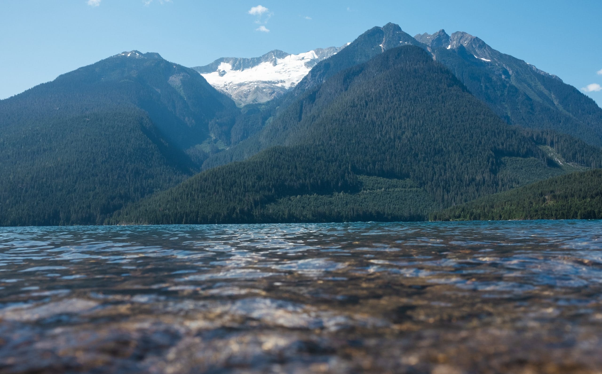 the old-growth Rainbow Creek valley in the inland temperate rainforest