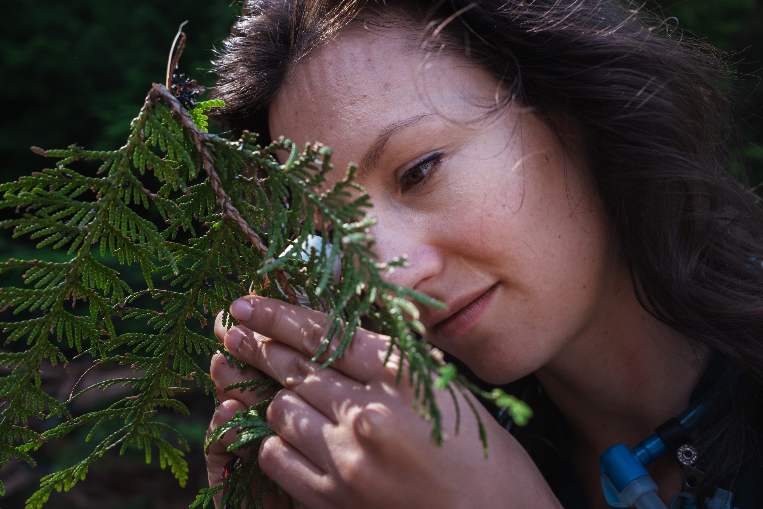 Biologist Amber Peters examines a lichen in the old-growth Rainbow Valley