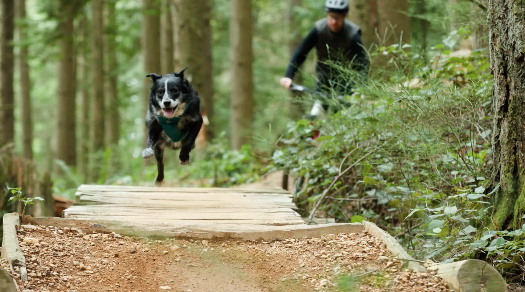Jason Lucas delivers the perfect ode to his trail dog