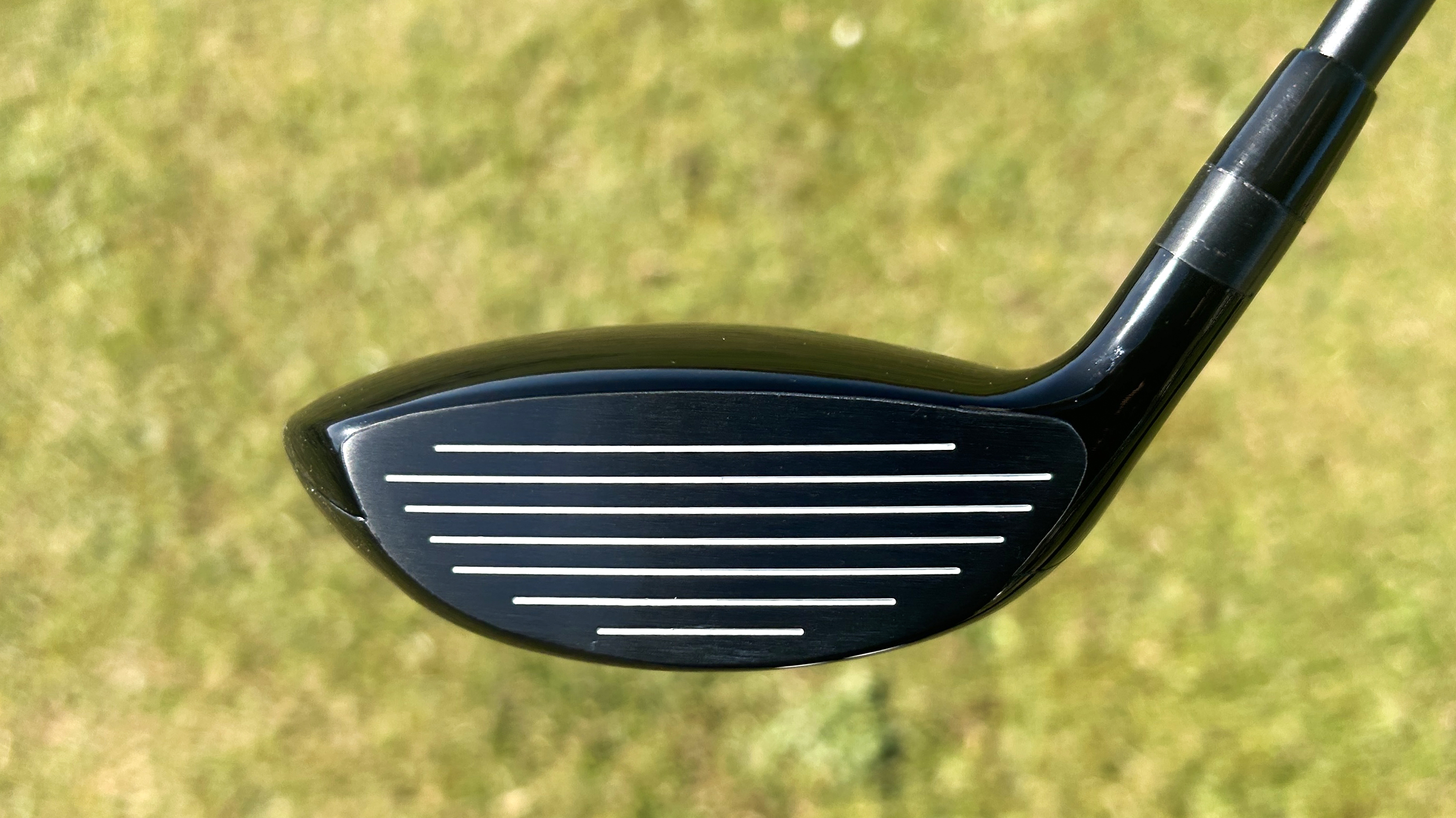 Photo of the Eleven Golf FW1