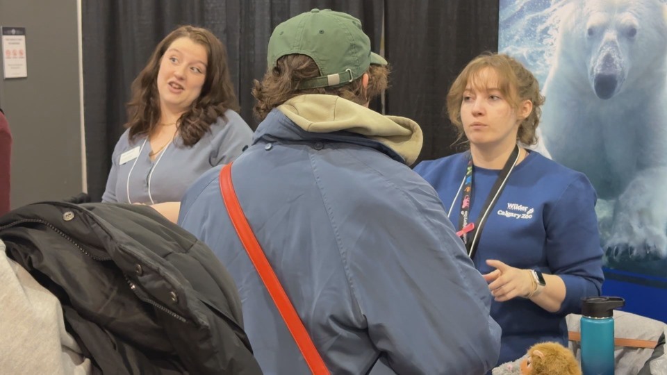 Young Calgarians on the hunt for jobs at hiring fair