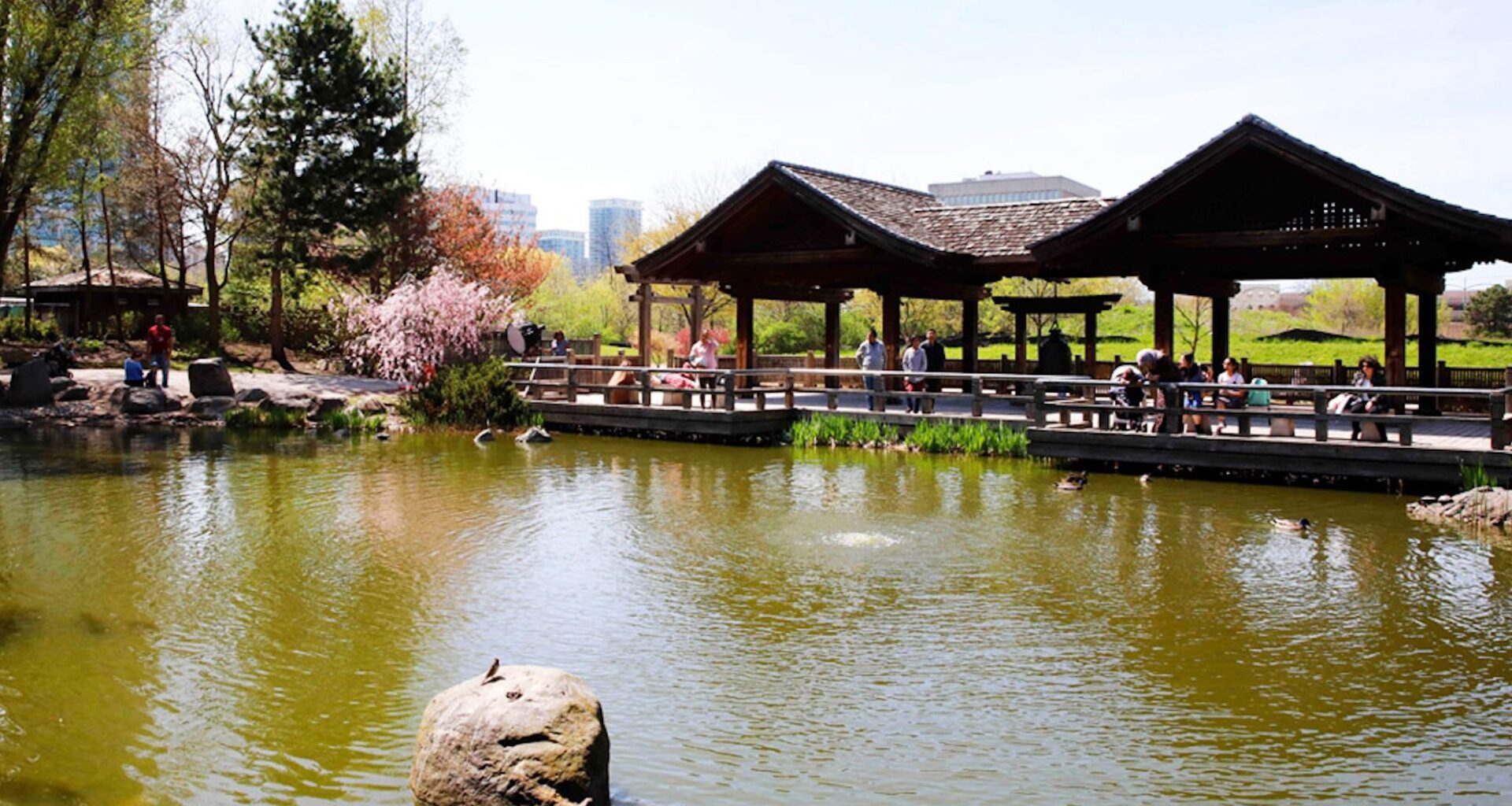 Mississauga and Kariya, Japan's sister city relationship explained