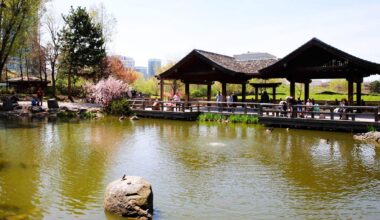 Mississauga and Kariya, Japan's sister city relationship explained