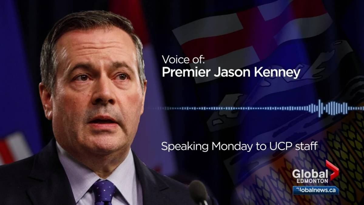 Click to play video: 'Jason Kenney says he doesn’t need premier job, but has to stick around to stop ‘lunatics trying to take over the asylum’'