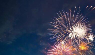 national group wants mississauga to slow down with changes to fireworks bylaw.