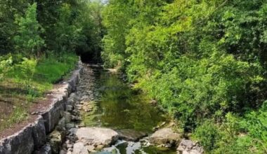 damaged pedestrian bridge reopens in mississauga.