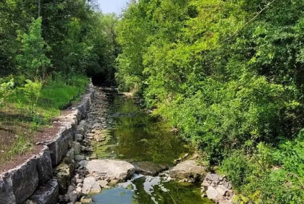 damaged pedestrian bridge reopens in mississauga.